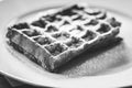 A black and white portrait of a belgian delicious tasty waffle with powder sugar as a topping on it, lying on a white plate on a