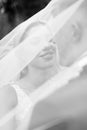 Black and white portrait of bride and groom under veil. Royalty Free Stock Photo