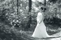 Black and white portrait of bride in sunny park Royalty Free Stock Photo