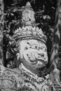 Black and White Portrait Headshot Titan or Giant in Color Mirror Suit in Wat Analayo Temple