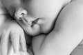 A black and white portrait, macro shot. Mom and her baby. The concept of a happy family. Beautiful conceptual image of motherhood Royalty Free Stock Photo