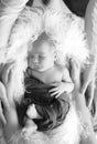 A black and white portrait newborn little boy sleeping surrounded by family, Hands of mom and dad hug a newborn baby,loving parent Royalty Free Stock Photo