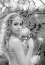 Black-white portrait of stunning young beauty blonde with jewelry for hair in the garden where magnolia trees bloom.  Jewelry for Royalty Free Stock Photo