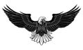 Black and white powerful eagle spread the wings Royalty Free Stock Photo