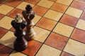 Black and white queen chess figures stand on a chess board Royalty Free Stock Photo