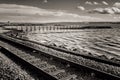 Black and White Railway tracks Royalty Free Stock Photo