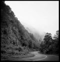 Black and white rainy road