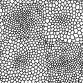 Black and white random scallop texture tiles. Royalty Free Stock Photo