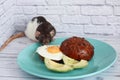 Black and white rat eating scrambled eggs and a hamburger. Royalty Free Stock Photo