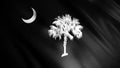 Black and white Realistic South Carolina USA flag waving in the wind, seamless loop. Animation. Flag with a half moon