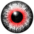 Black white red human and animal eyeball