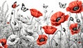 Black white and red watercolor poppies with butterflies on white background. Watercolor illustration Royalty Free Stock Photo