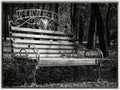 Bench in autumn park with fallen leaves in black and white