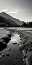 Black And White Rice Fields In Tokushima Prefecture With Mountains And Soft Light