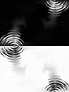 Black and white ripple abstract