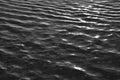 Black and White Rippled Water Royalty Free Stock Photo