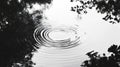 Black and White Ripples in Still Water with Tree Reflections Royalty Free Stock Photo