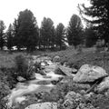 Black and white river flow