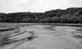 Black and white river shore Royalty Free Stock Photo