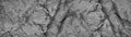 Black white rock texture. Cracked layered mountain surface. Close-up. Gray grungy stone background . Royalty Free Stock Photo