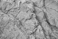 Black white rock texture. Cracked layered mountain surface. Close-up. Gray grungy stone background . Royalty Free Stock Photo