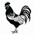 Black And White Rooster Graphic: Distinctive Character Design