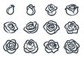 Black and white rose flower vector illustration. Simple rose blossom icon set. Nature, gardening, love, Valentine`s day theme