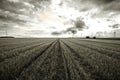 Black and white rural landscape.