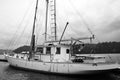 Black and White Sailboat docked in Harbor