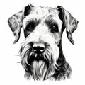 Black And White Schnauzer Face Drawing In 8k Resolution