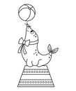 Black and white sea lion on a stand with a ball. Vector circus animal. Amusement holiday line icon. Cute funny seal clip art.