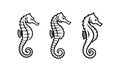 Black and White Seahorse Marine Aquatic Creature Royalty Free Stock Photo