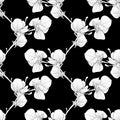 Black and white seamless background with blooming magnolia tree branches.