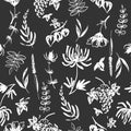 Black and white seamless patterm based on hand painted ink autumn leaves, flowers, herbs and berries Royalty Free Stock Photo