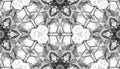 Black and white seamless pattern. Astonishing deli Royalty Free Stock Photo