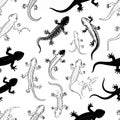 Seamless Pattern of Lizards and Salamanders Royalty Free Stock Photo