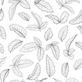 Black and white seamless pattern holly, ilex branch with leaves on white background. design holiday greeting cards and invitations