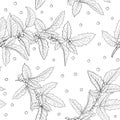 Black and white seamless pattern holly, ilex branch with leaves on white background. design holiday greeting cards and invitations