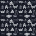 Black and white seamless pattern with white ink moth on dark background Royalty Free Stock Photo