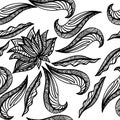 Black white seamless pattern with lotus. Boho Style Elements. Vector Drawing. Royalty Free Stock Photo