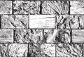Black-white seamless pattern with old brick wall Royalty Free Stock Photo