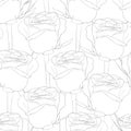 Black and white seamless pattern in roses with contours. Royalty Free Stock Photo