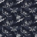 Black and white seamless pattern with white ink moth on dark background Royalty Free Stock Photo