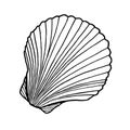 Black and white seashell. Hand drawn outline contour vector illustration of underwater scallop shell. Nautical element isolated on