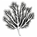 Black And White Seaweed Leaf Drawing: Contoured Shading, Generative Art, Stenciled Iconography