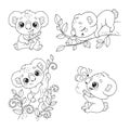 Black and white set of cute koalas Royalty Free Stock Photo