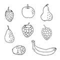 Black and white set of hand drawn tropical citrus fruit Ink sketch style. Good idea for templates menu, recipes. Greeting cards.