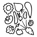 Black and white set of hand drawn vegetables