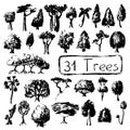 Black and white set silhouettes of tree. Summer tree vector illustration on white background. Black ink tree stamp Royalty Free Stock Photo