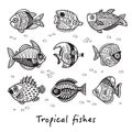 Black and white set of tropical fishes. Vector illustration